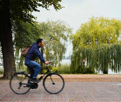 Radfahrer auf einem gepflasterten Weg in einer Parkanlage